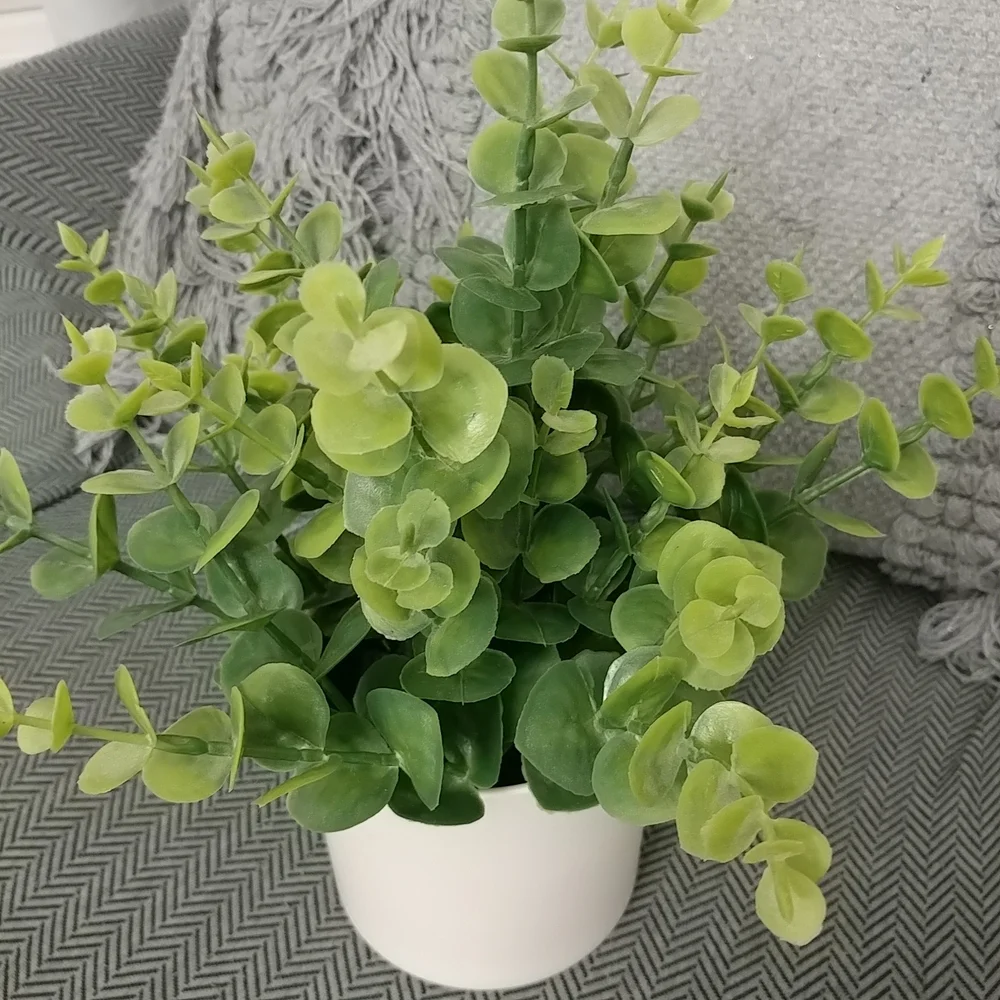 Boxwood Faux Plant Artificial Green Boxwood Arrangement White Planter- Threshold